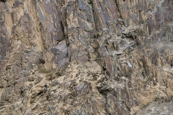 Find the worker in the rock wall!